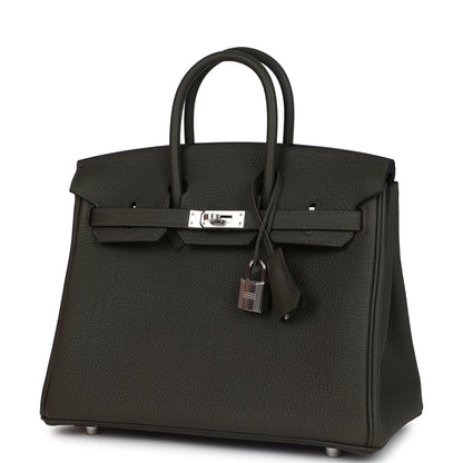 Hermes Birkin 25 Vert de Gris Togo Palladium Hardware