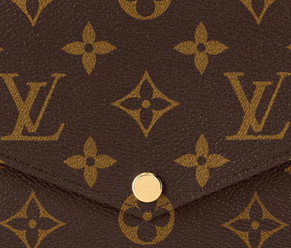 Félicie Pochette LV Monogram Chain Bag Monogram 61276
