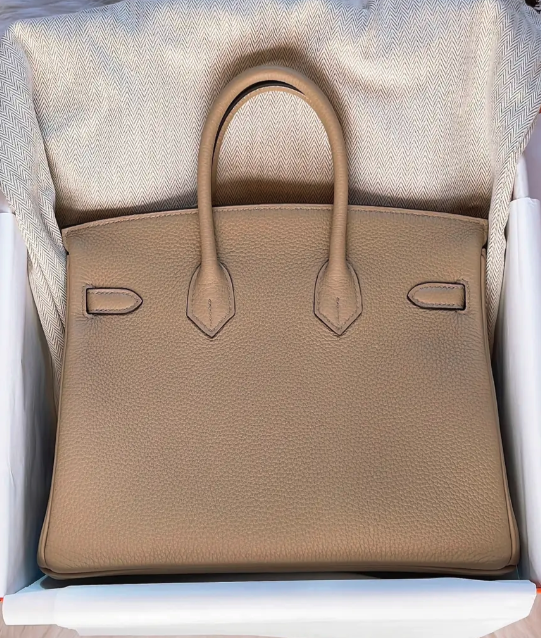 Hermes Birkin 25 Pelle